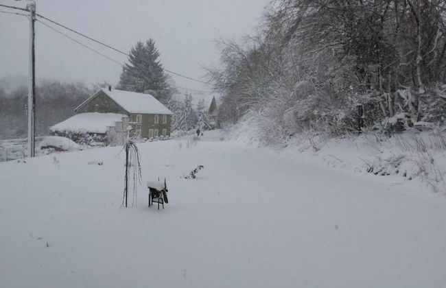 Sourbrodt Villa With Pool - Photo 38