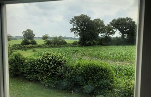 Ferienwohnung Rohwer - Foto 6