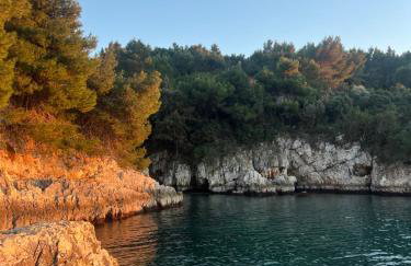 Apartmaji Valentina - Foto 50