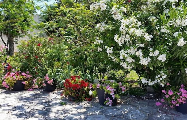 Paradise Holiday Bungalows - Foto 26