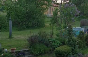 Waldheimat - Photo 34