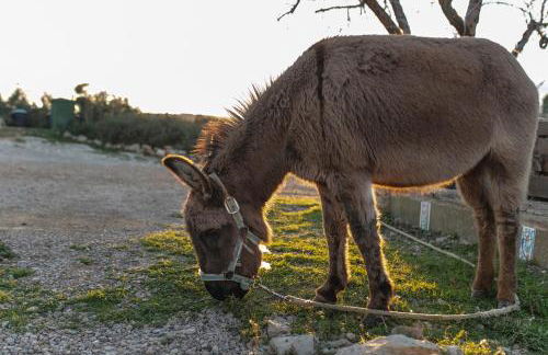 Aldea Ecorural - Foto 77