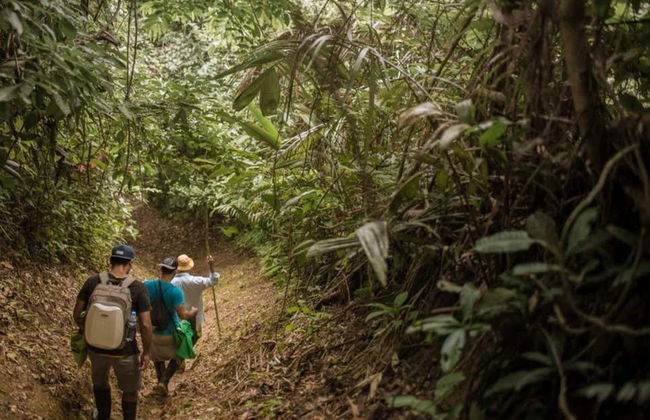 Excursion à la rivière bouillante de Mayantuyacu - Photo 8