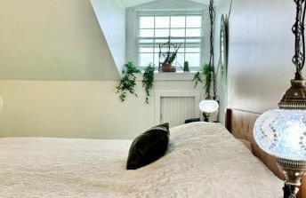 Fingerlakes farm with goats & chickens - Foto 14