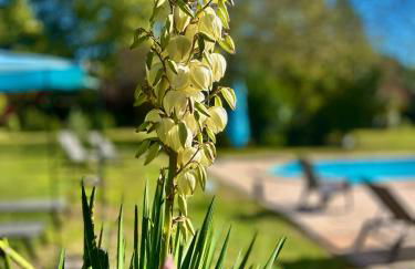 Domaine Plan des Devens - Foto 34