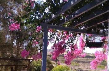 C & C _ Cycladic house with endless sea view - Foto 47