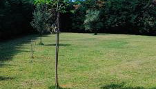 Cosy Garden Bungalow - Foto 2