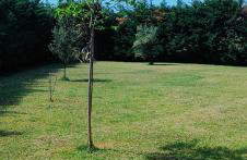 Cosy Garden Bungalow - Foto 2