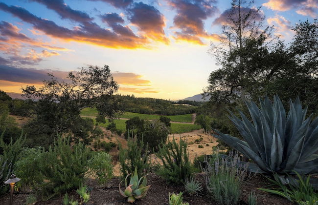 Kenwood Vista by Avantstay 7acres w/ Pool, Fire Pit, Vineyard Views - Foto 45