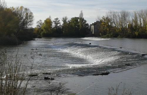 PINAR DE LAS CABAÑUELAS - Foto 51
