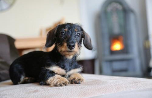 City Apartments Mühlhausen - Foto 52