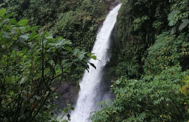 Vulcão Poás, Catarata de La Paz e plantação de café - Foto 3