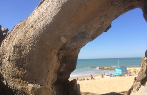 La maison d'été de mes parents - Foto 27