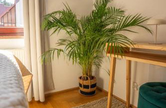 Odpocznij sobie - Apartament w Polanicy-Zdrój - Foto 27