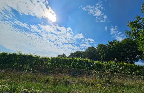 Moderne Doppelhaushälfte in Oppenheim - Foto 19