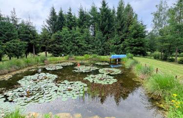 Domki nad Stawem Uherce - Foto 26