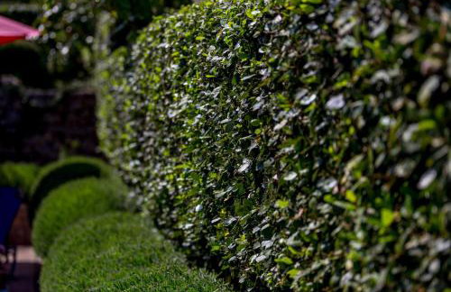 Apartments Dalia - Foto 47