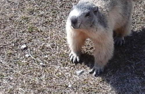 Le Seuil De Mes Reves - Foto 16