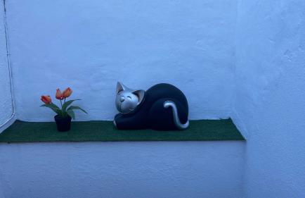 Hope's ático-apartamento - Foto 9