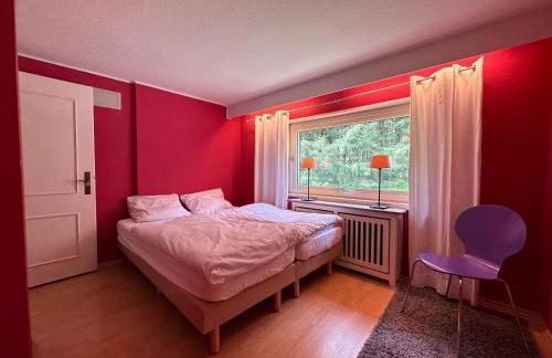 VILLA WALDHAUS WILLINGEN SAUERLAND - Charming Villa near Forest for 12 Guests with Huge Garden - Nearby Winter Sports Area with Ski Slope - Hiking and Nature - Foto 22