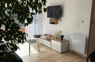 T2 lumineux l' Edelweiss pied du télécabine Prorel avec garage privé et sauna - Foto 12