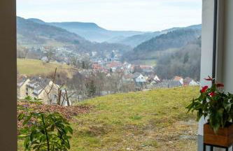 Duplex vue sur les montagnes - Orbey - Foto 7