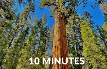 Secluded Mtn Top Family Haven w/Views Spa & Arcade - Photo 68