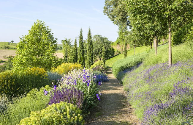 Relais Di Tenuta Santa Caterina - Foto 46