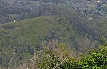 Podere Vinciguerra 39 - Foto 24