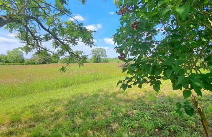 Maison tout confort proche Azay-le-Rideau 8 p - Foto 4