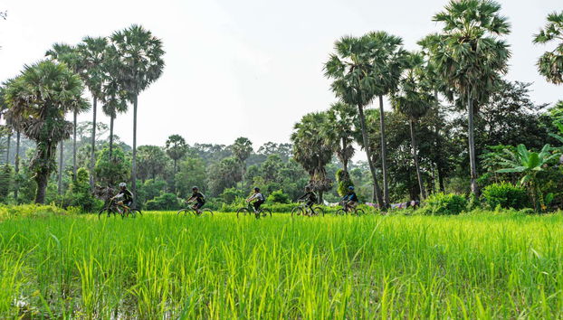 Contemplando il paesaggio