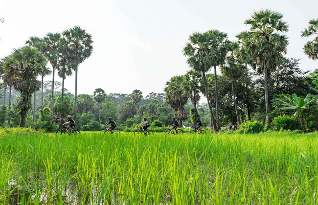Tour en bicicleta por Siem Reap - Foto 1