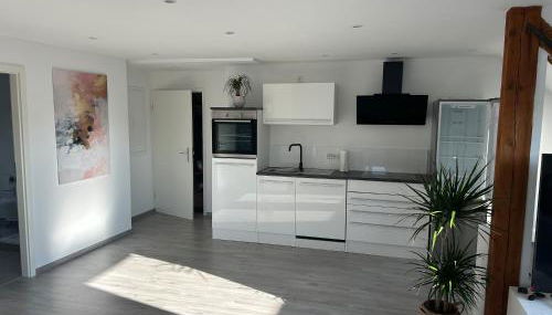 Schöne, ruhig gelegene Wohnung - Foto 4, stove