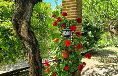 Casa Rural en Candeleda con piscina y un maravilloso jardín - Foto 7