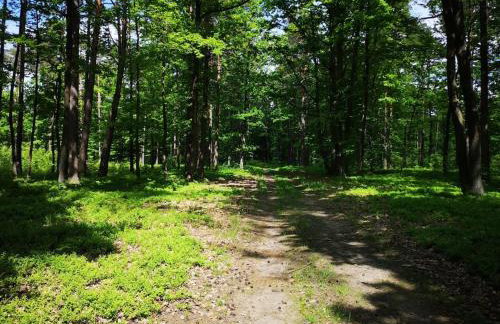 Sielanka Aleksandria - Foto 27