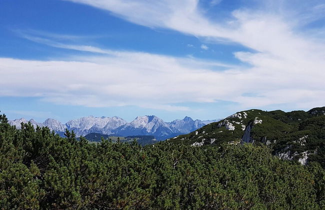 Apartment in Kirchdorf Near Ski Slopes - Foto 14