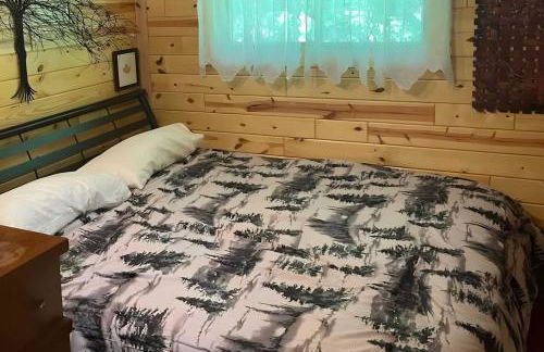 TnT Cabin on Plummer Lake - Photo 8