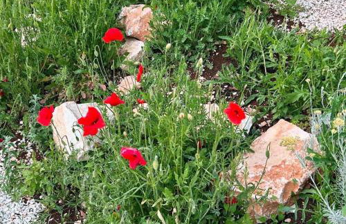 Villa Kresina - Photo 36