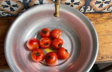 Bosque na Montanha Encantada - Foto 54