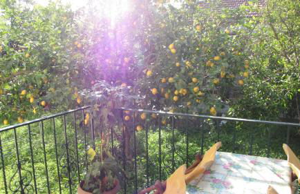 Rafaela House - Foto 29