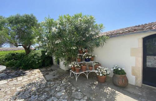 Le Moulin de la Boire, exceptionnel pour 12 personnes - Foto 18