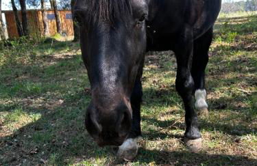 Zum Waldblick - Foto 12