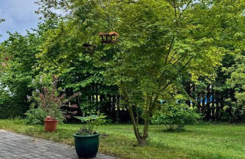 Ferienwohnung Roswitha - Foto 38