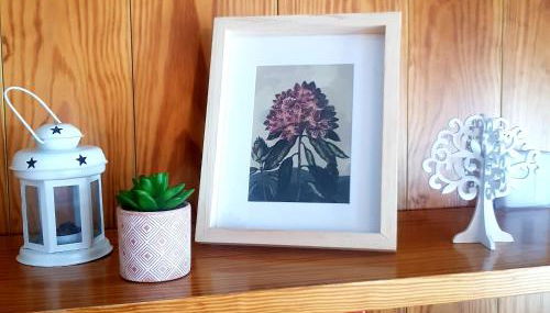 Marilleva 1400 tra sport e natura - Foto 5