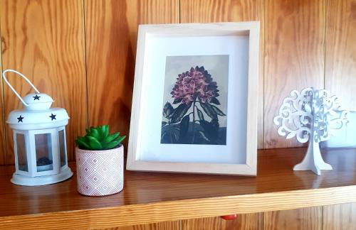 Marilleva 1400 tra sport e natura - Foto 5