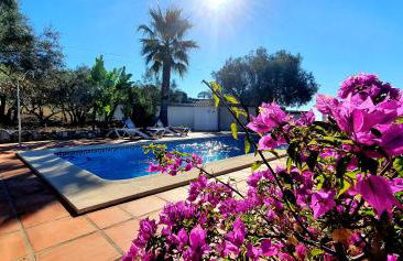 Finca Casa Emilia - Foto 7