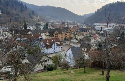 Ferienwohnung Mergel in Black Forest - Foto 33