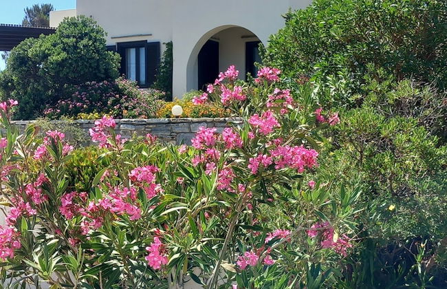 Kedros Villas - Photo 36