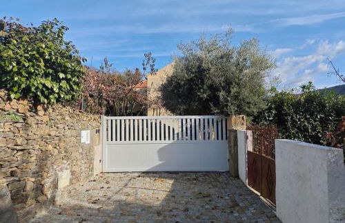 EiraDouro - Casa Oliveira - Foto 8