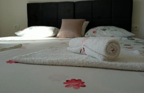 Sun Studio Apartment - Photo 3